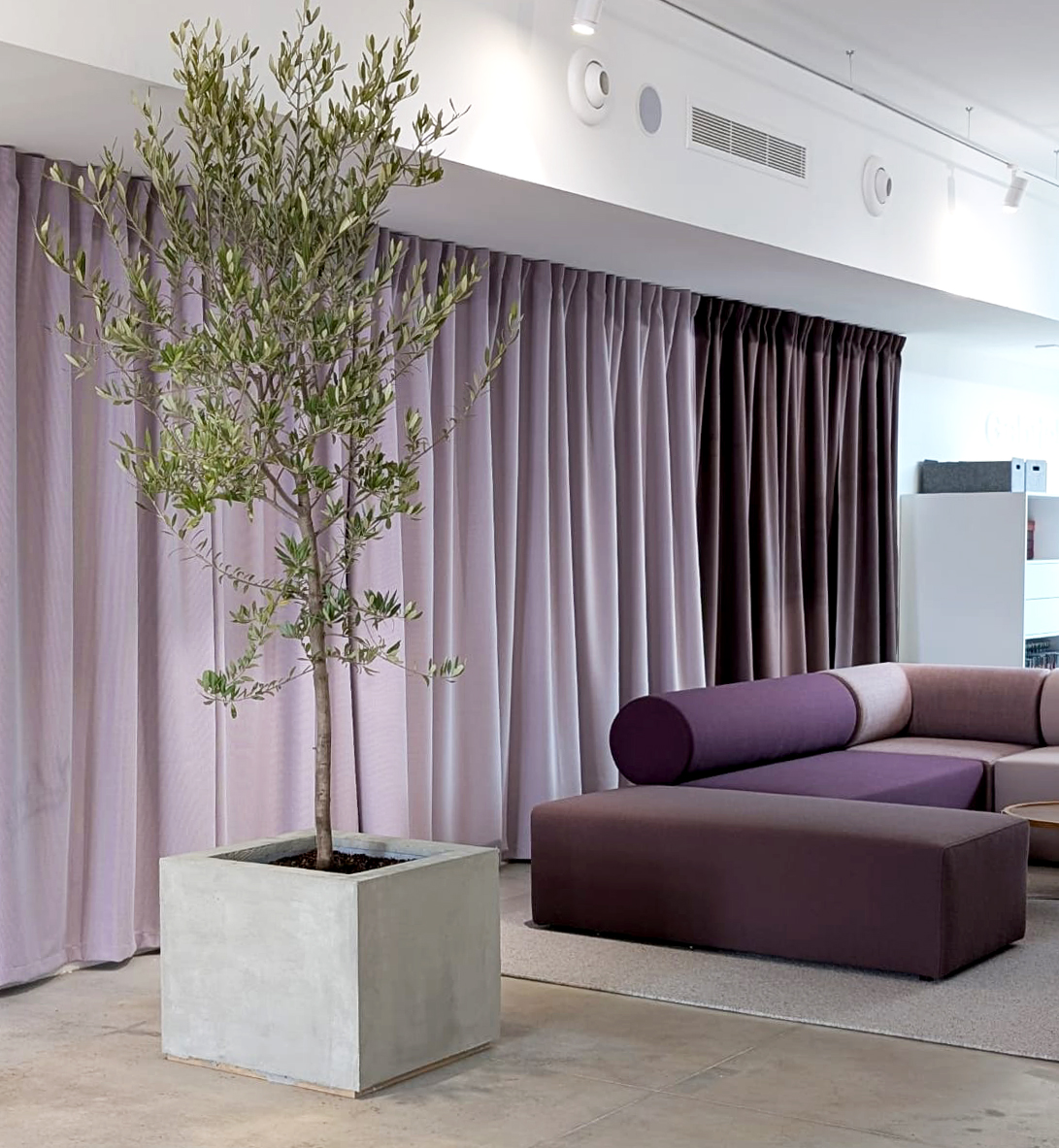 IMG 20250304 WA0002 Edit