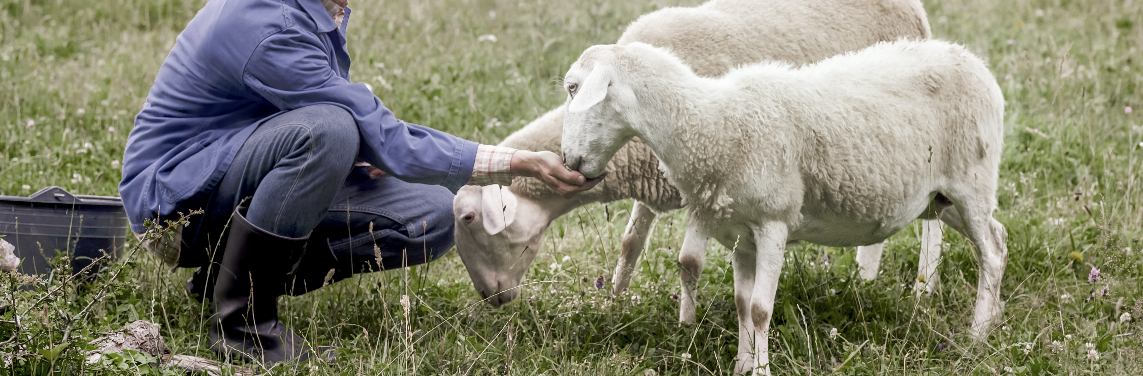 Gabriel Fabrics Inspiration Caring For Nature Since 1851 1